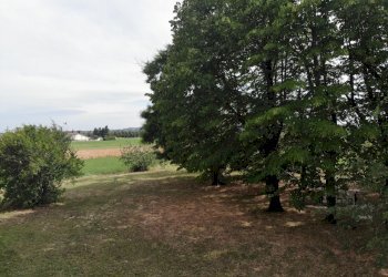 Casa indipendente Castel San Pietro Terme - foto 97