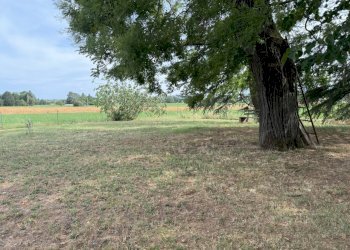Casa indipendente Castel San Pietro Terme - foto 100