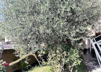 Appartamento Bastiglia - foto 18