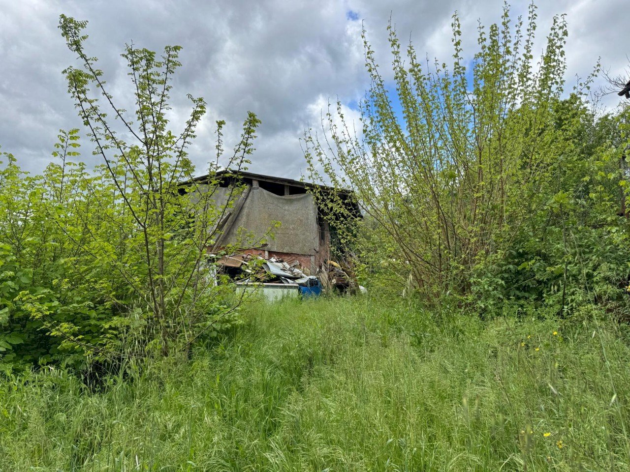 Villa Unifamiliare Castel San Pietro Terme - foto 3