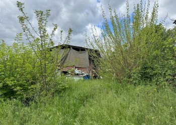 Single Family Villa Castel San Pietro Terme - photo 3