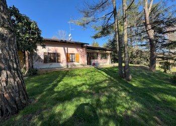 Villa Unifamiliare Casalfiumanese - foto 5