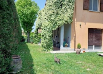 Villa a Schiera San Giorgio di Piano - foto 6