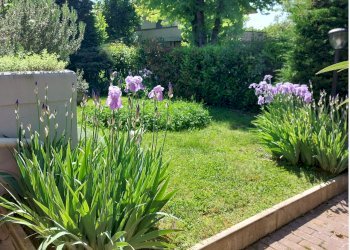 Villa a Schiera San Giorgio di Piano - foto 8