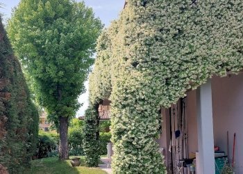 Villa a Schiera San Giorgio di Piano - foto 15