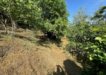 Porzione di casa Monterenzio - foto 33