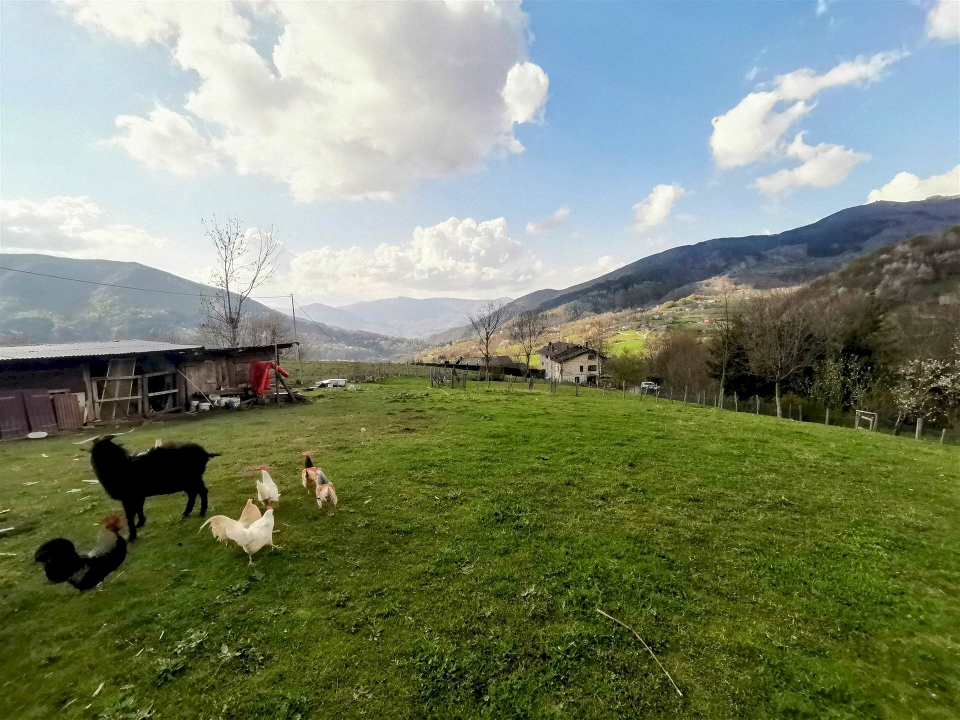 Building land Fiumalbo - photo 1