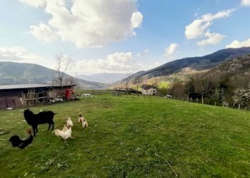 Terreno edificabile Fiumalbo - foto 1