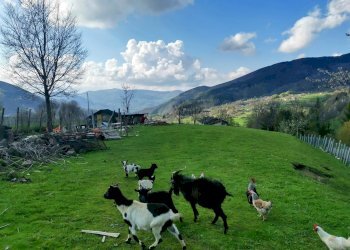 Terreno edificabile Fiumalbo - foto 6