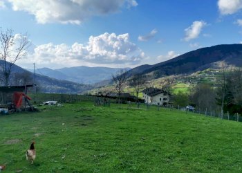 Terreno edificabile Fiumalbo - foto 7