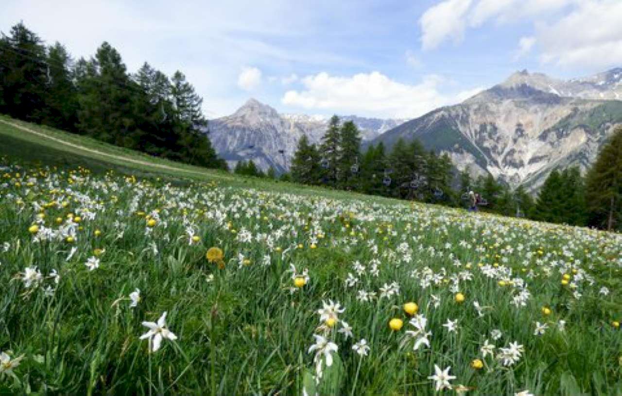 Casa indipendente Bardonecchia - foto 2
