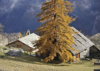 Rustico Bardonecchia - foto 4