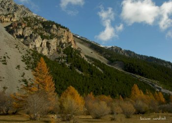 Rustico Bardonecchia - foto 5