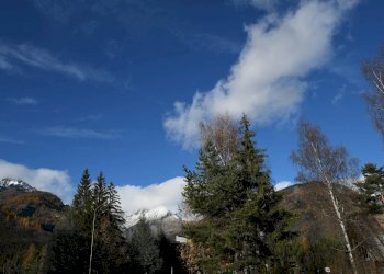 Trilocale Bardonecchia - foto 12