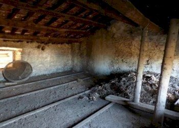 Rustico Boves - foto 11