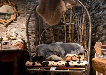 Locale Commerciale Bardonecchia - foto 8