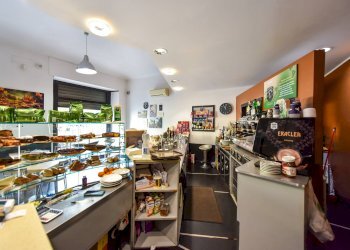 Commercial Activity Torino (neighborhood San Salvario) - photo 10