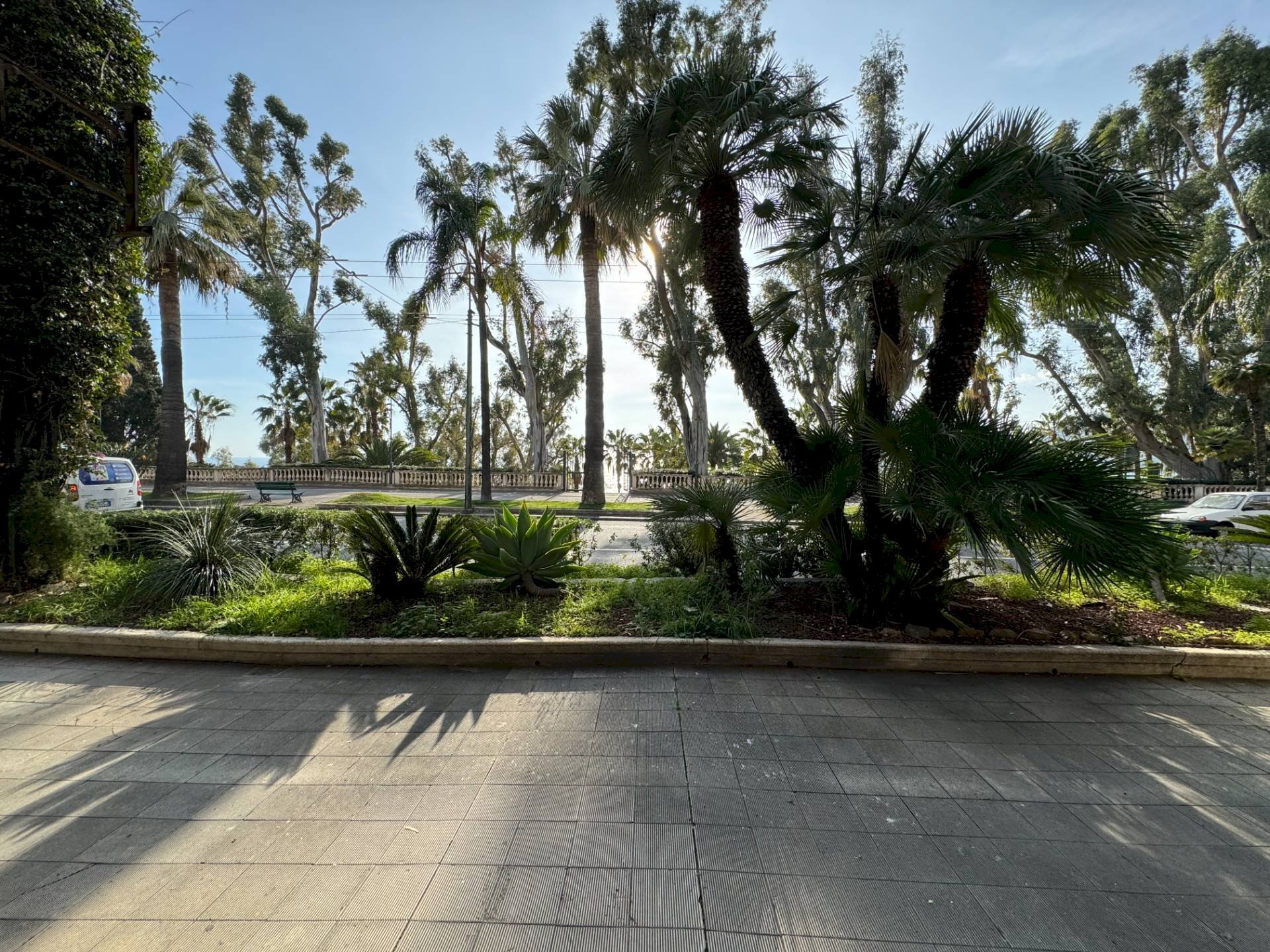 Commercial Activity Ospedaletti - photo 1