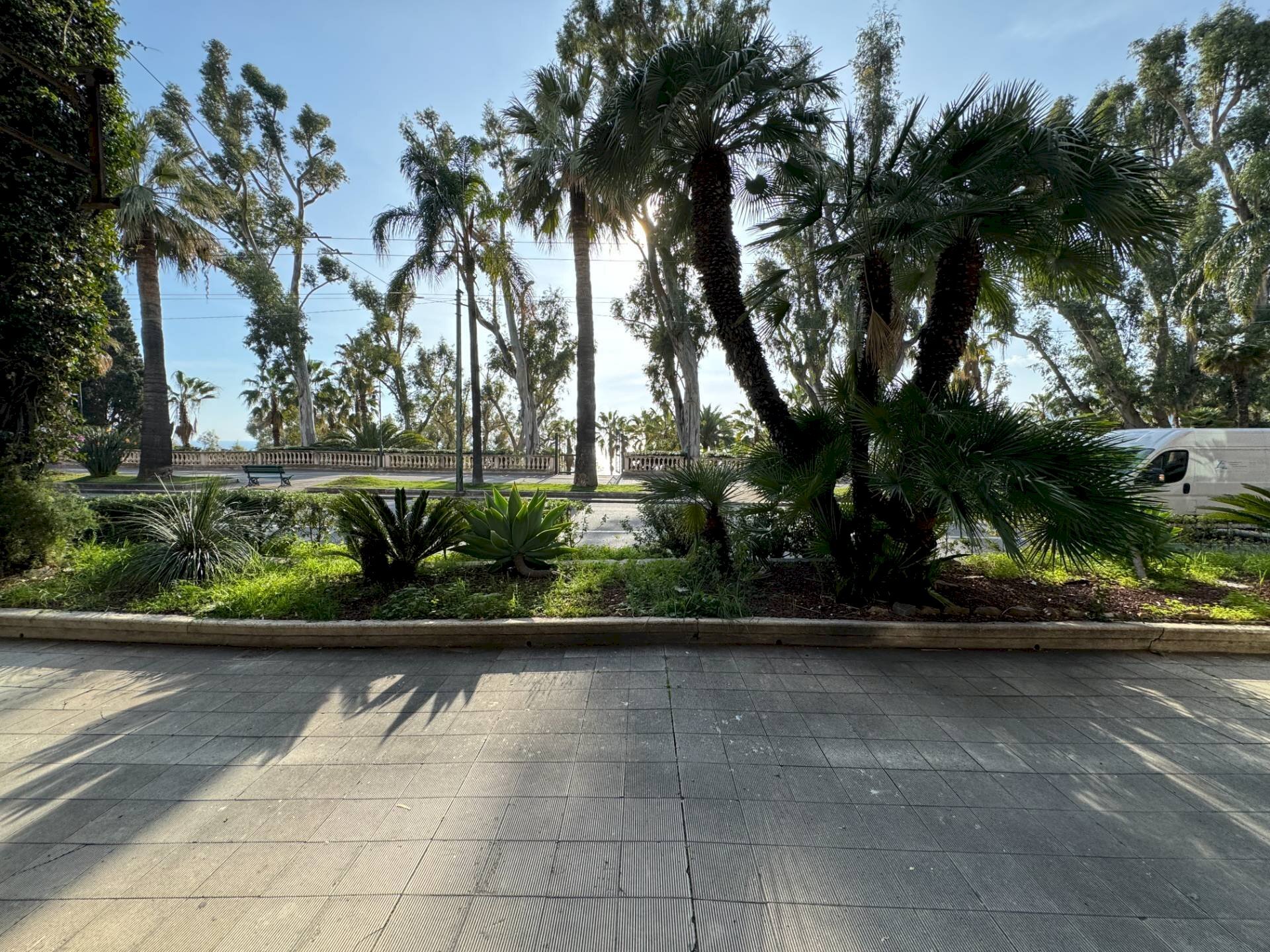 Commercial Activity Ospedaletti - photo 2