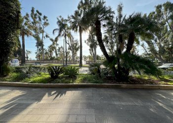 Commercial Activity Ospedaletti - photo 1