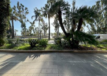 Commercial Activity Ospedaletti - photo 2