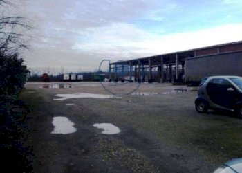 Shed Cambiano - photo 5