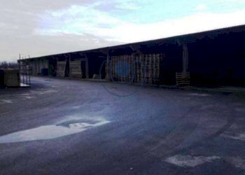 Shed Cambiano - photo 12