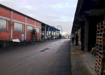 Shed Cambiano - photo 15