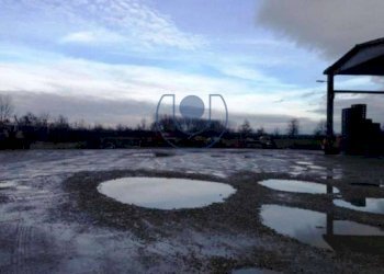 Shed Cambiano - photo 23