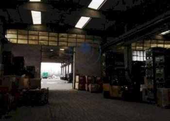 Shed Cambiano - photo 27