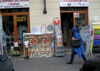 Commercial Activity Torino (neighborhood Vanchiglietta) - photo 10