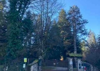 Appartamento Arcinazzo Romano - foto 10