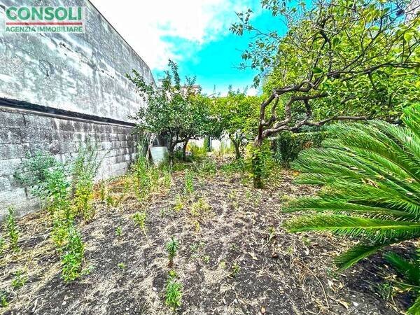 Independent house Riposto - photo 2