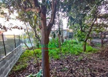 Casa indipendente Mascali - foto 3