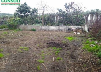 Casa indipendente Fiumefreddo di Sicilia - foto 5