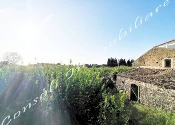 Casa indipendente Mascali - foto 3