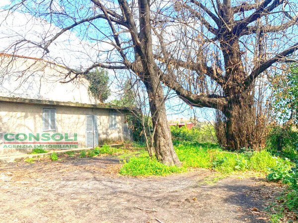 Casa indipendente Giarre - foto 3