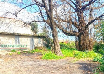 Casa indipendente Giarre - foto 3