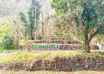 Casa indipendente Giarre - foto 4