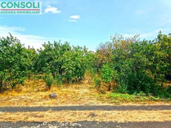 Terreno edificabile Giarre - foto 3