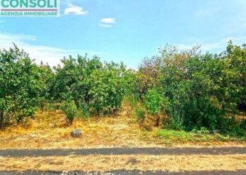 Terreno edificabile Giarre - foto 3