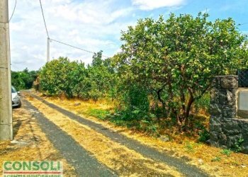 Terreno edificabile Giarre - foto 4