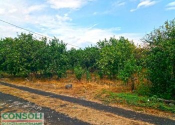 Terreno edificabile Giarre - foto 5