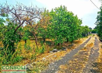 Terreno edificabile Giarre - foto 6