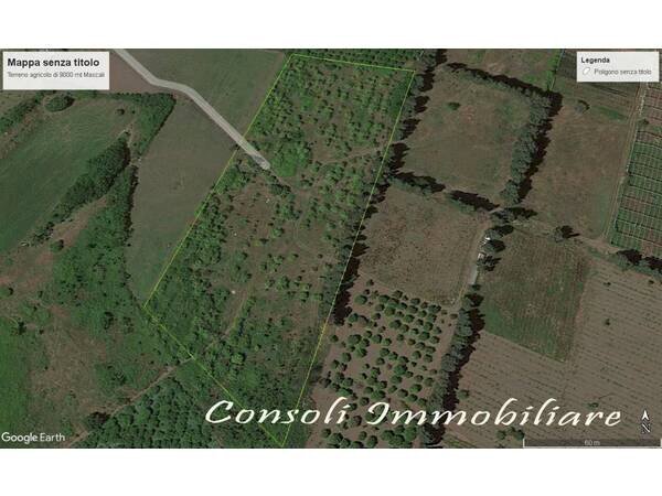 Terreno edificabile Mascali - foto 2