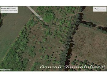 Terreno edificabile Mascali - foto 4