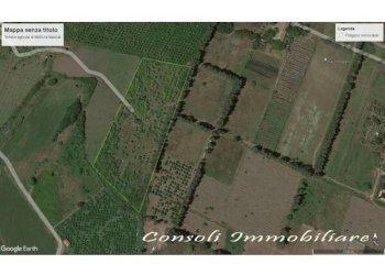Terreno edificabile Mascali - foto 6