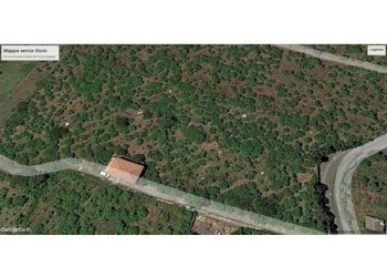 Terreno edificabile Riposto - foto 4