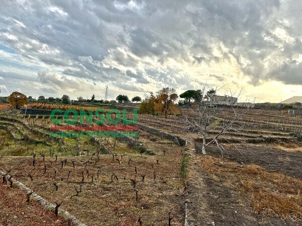 Terreno edificabile Aci Bonaccorsi - foto 1
