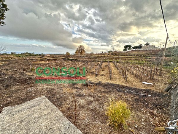 Terreno edificabile Aci Bonaccorsi - foto 2